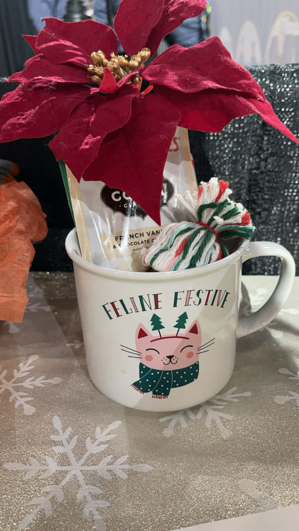 Coco Cat X-mas