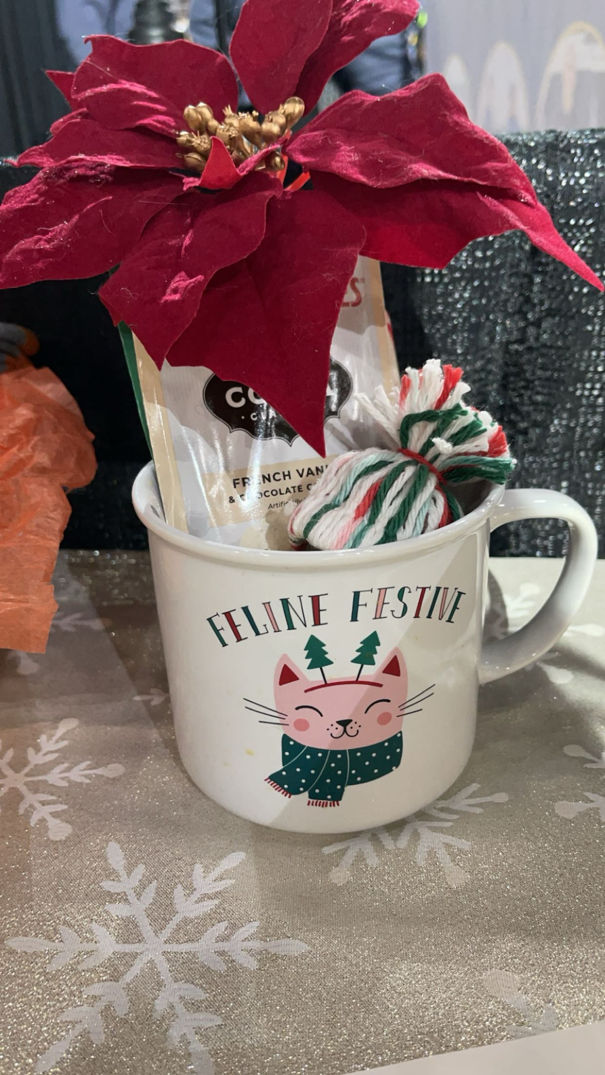 Coco Cat X-mas