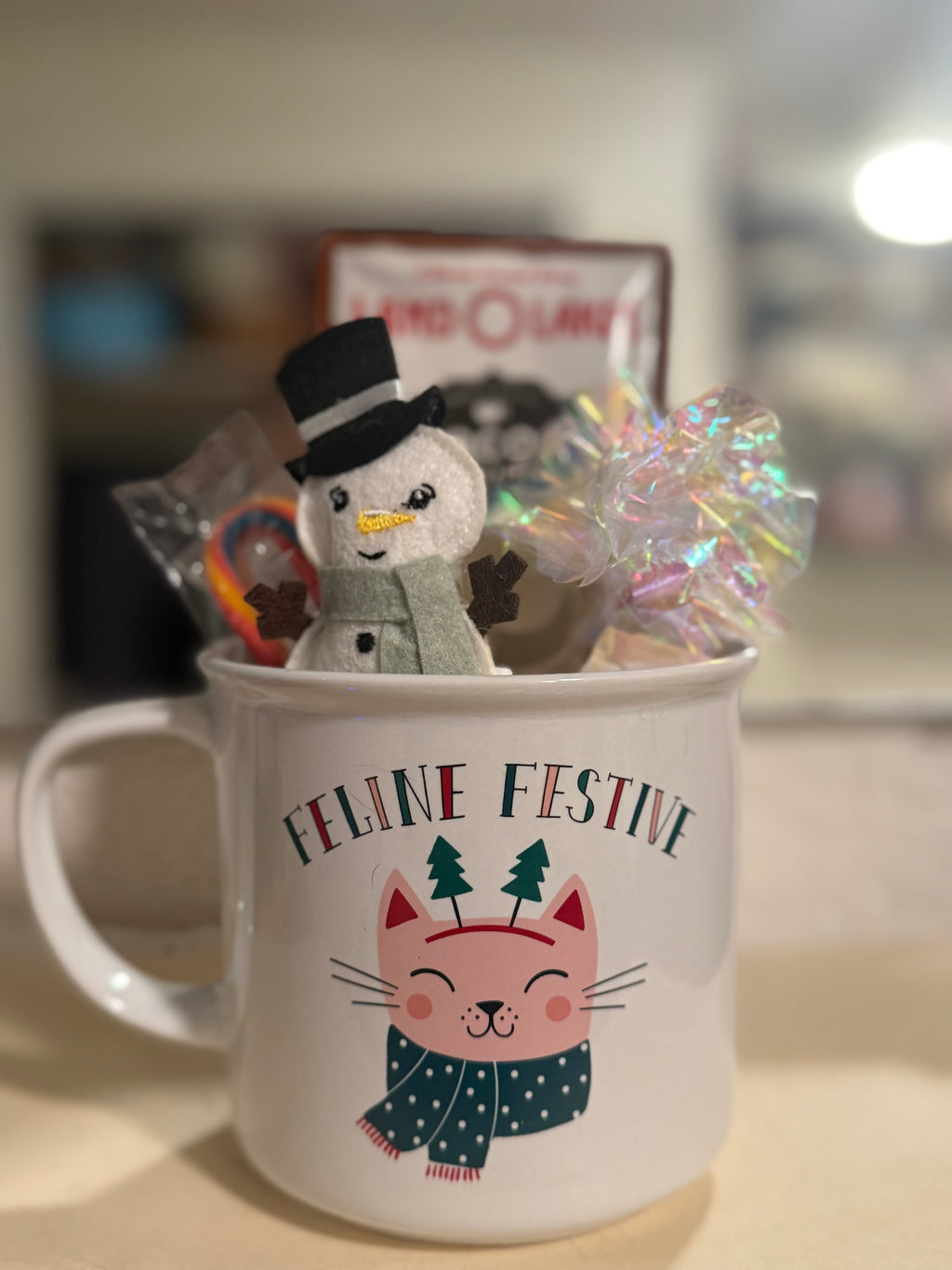 Coco Cat X-mas