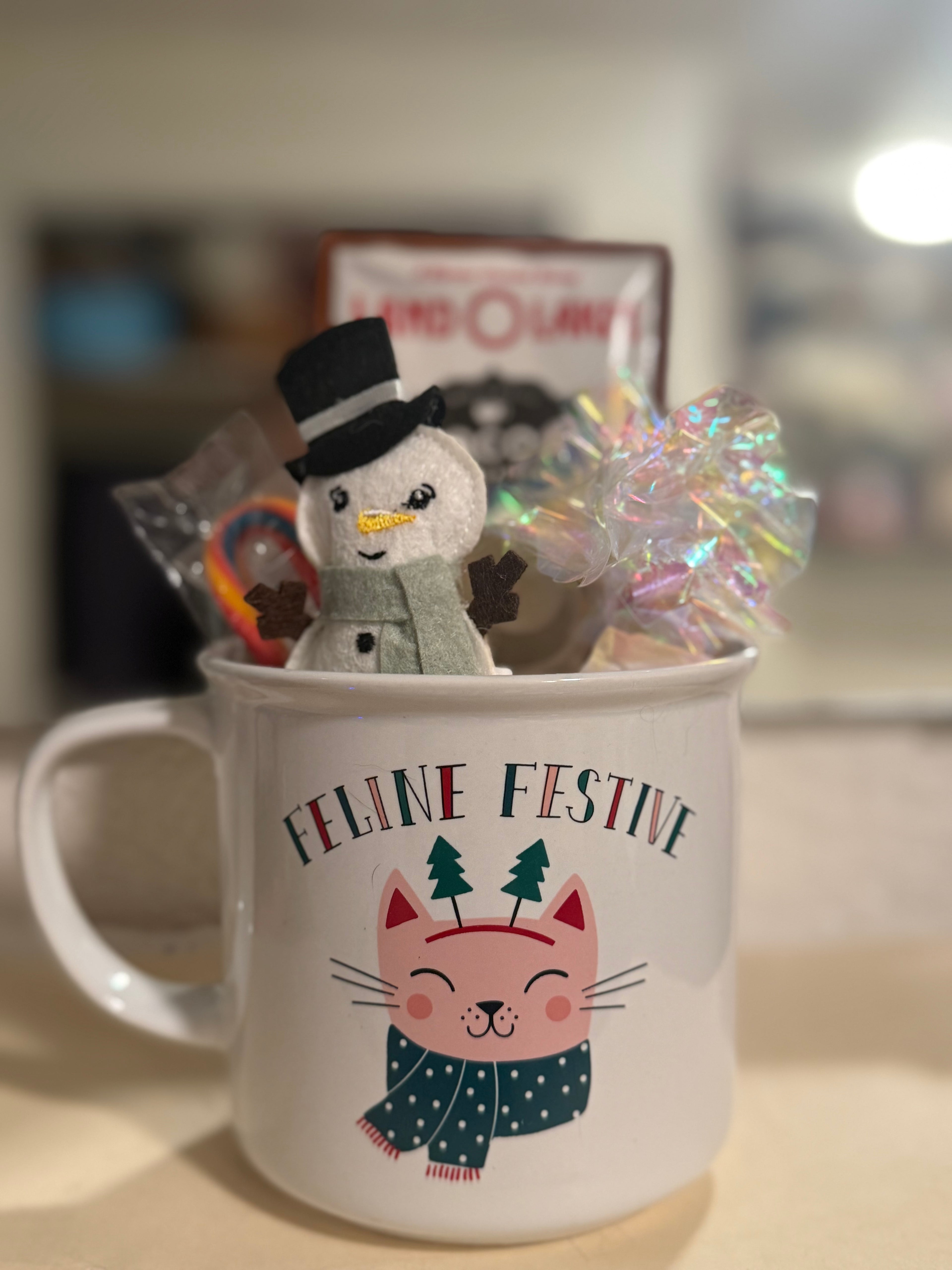 Coco Cat X-mas