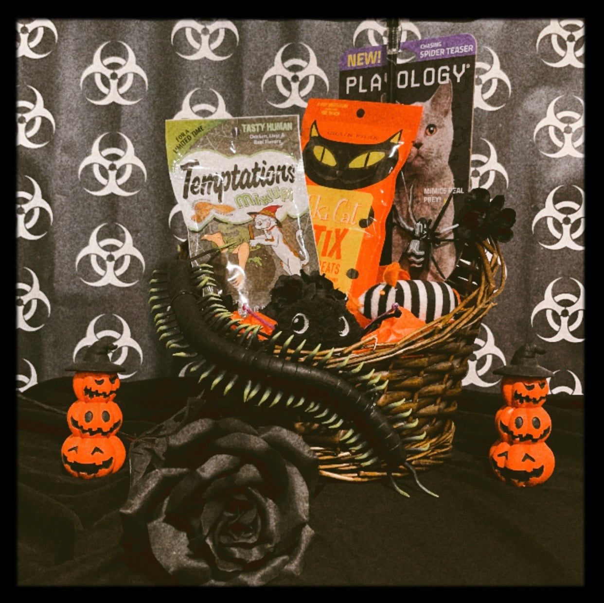 Kitty Cat Boo Basket 2024 Edition
