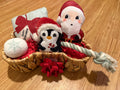 Christmas Puppy Toy Gift Set